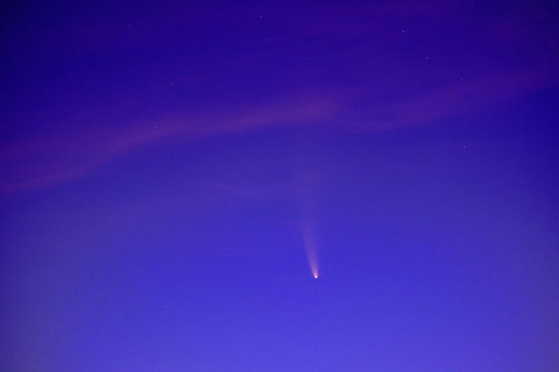Comet C/2014 Q1 Panstarrs